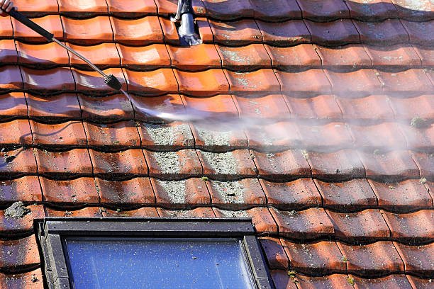 roof cleaning